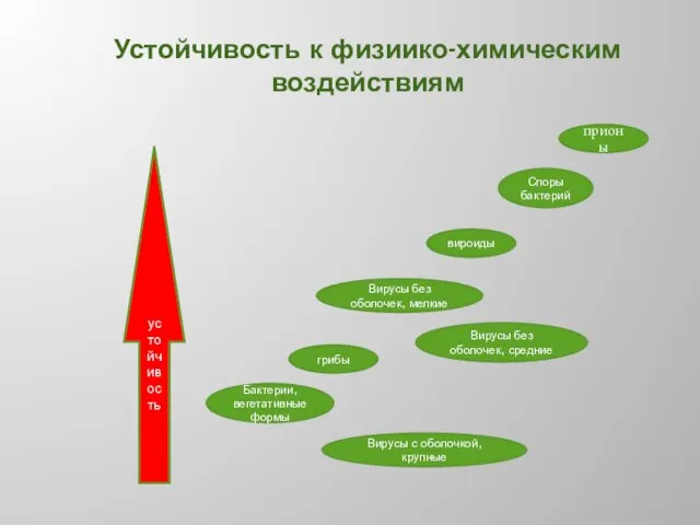 Устойчивость к физиико-химическим воздействиям устойчивость Вирусы с оболочкой, крупные Бактерии, вегетативные формы