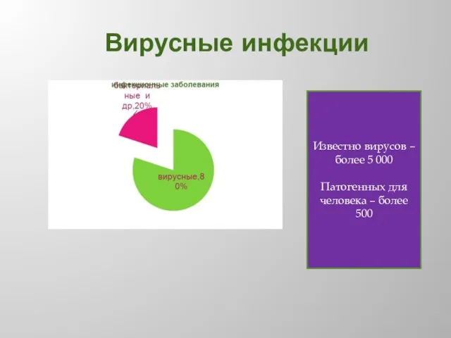 Вирусные инфекции Известно вирусов – более 5 000 Патогенных для человека – более 500