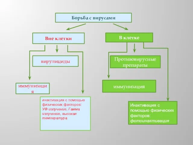 Борьба с вирусами Вне клетки В клетке вирулициды Противовирусные препараты иммунизация инактивация