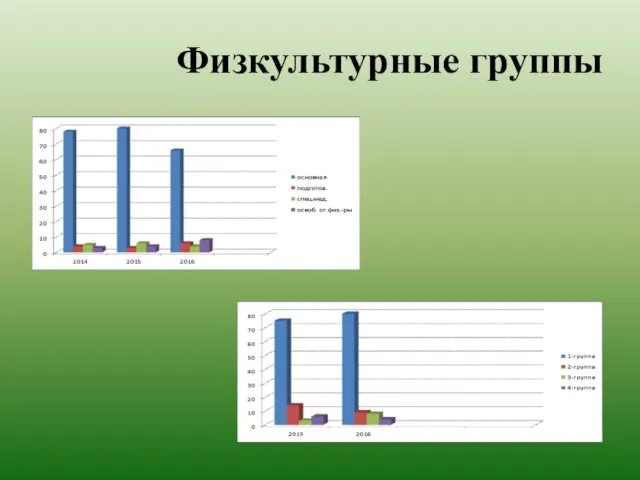 Физкультурные группы