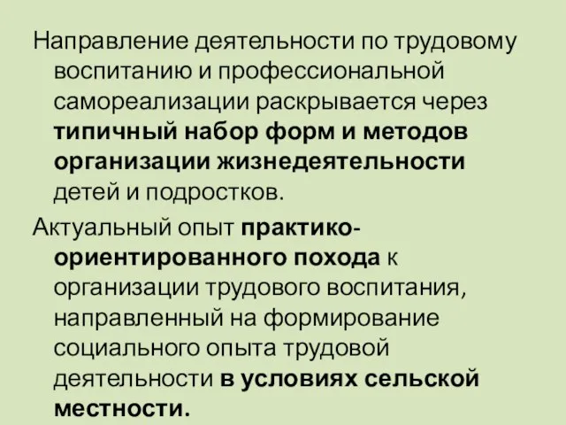 Направление деятельности по трудовому воспитанию и профессиональной самореализации раскрывается через типичный набор