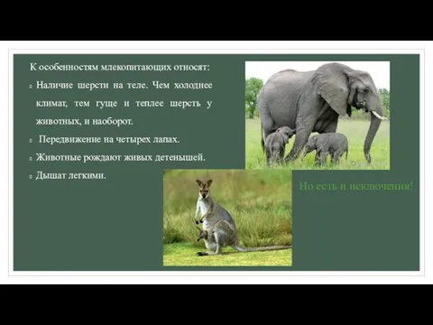 К особенностям млекопитающих относят: Наличие шерсти на теле. Чем холоднее климат, тем