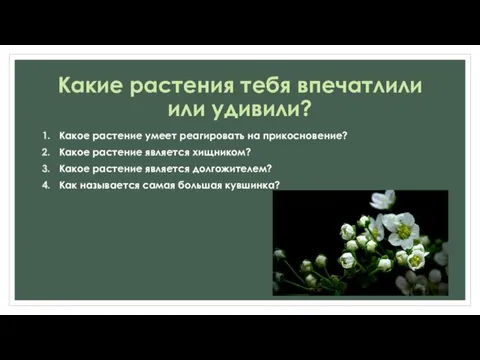 Какие растения тебя впечатлили или удивили? Какое растение умеет реагировать на прикосновение?