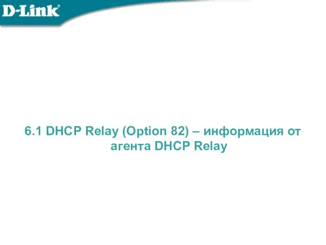 6.1 DHCP Relay (Option 82) – информация от агента DHCP Relay