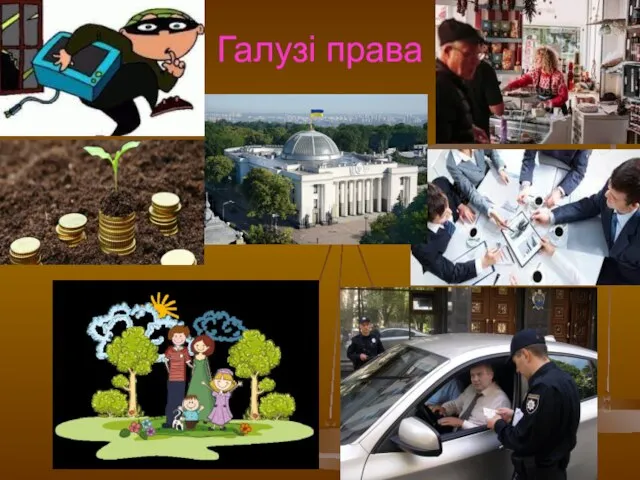 Галузі права