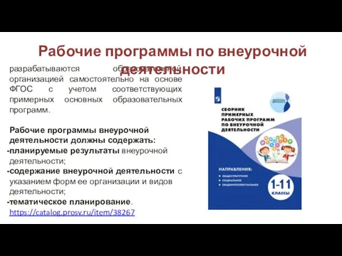 разрабатываются образовательной организацией самостоятельно на основе ФГОС с учетом соответствующих примерных основных