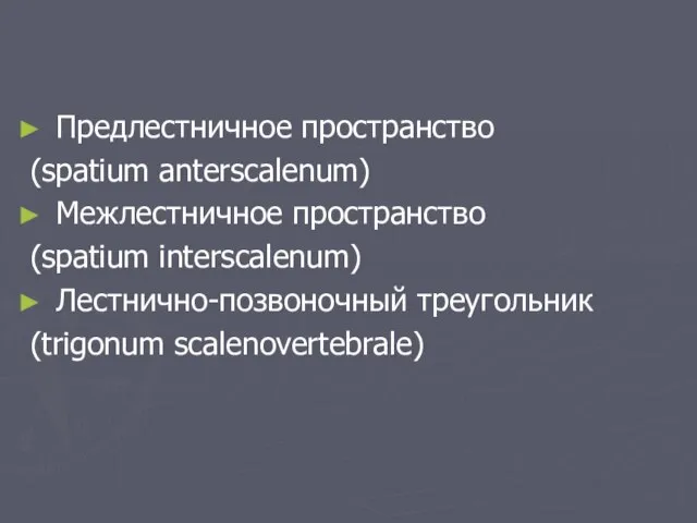 Предлестничное пространство (spatium anterscalenum) Межлестничное пространство (spatium interscalenum) Лестнично-позвоночный треугольник (trigonum scalenovertebrale)