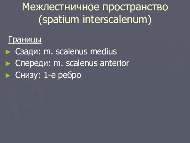Межлестничное пространство (spatium interscalenum) Границы Сзади: m. scalenus medius Спереди: m. scalenus anterior Снизу: 1-е ребро