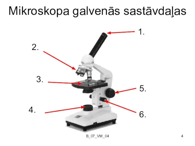 B_07_VM_04 Mikroskopa galvenās sastāvdaļas 6. 5. 2. 4. 1. 3.