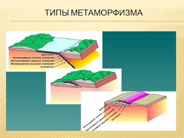 ТИПЫ МЕТАМОРФИЗМА