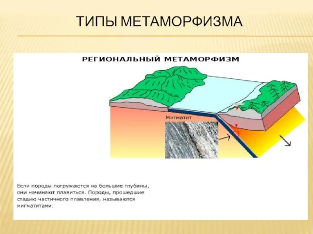 ТИПЫ МЕТАМОРФИЗМА