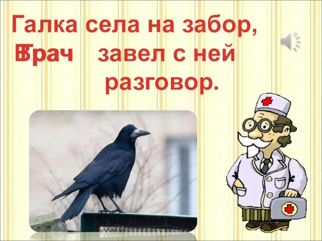 Галка села на забор, завел с ней разговор. Грач Врач