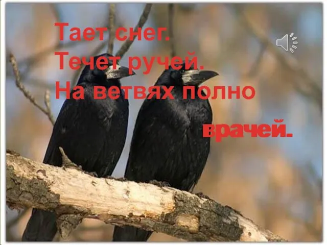 Тает снег. Течет ручей. На ветвях полно врачей. грачей.