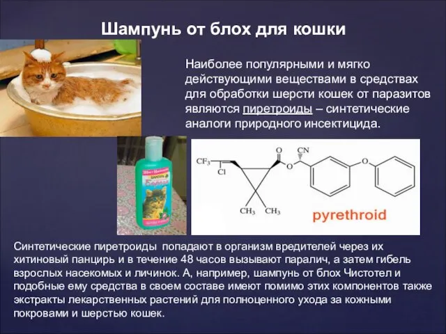 Шампунь от блох для кошки Наиболее популярными и мягко действующими веществами в