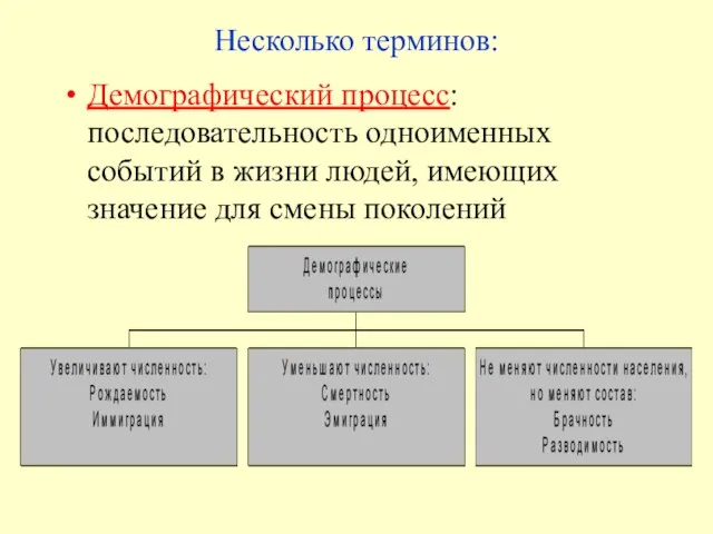 Несколько терминов: Демографический процесс: последовательность одноименных событий в жизни людей, имеющих значение для смены поколений