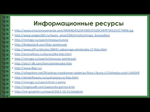 Информационные ресурсы http://www.creacionesamanda.com/AMANDA%20FONDOS%20CARPETA%20127MNB.jpg http://www.zoogeo365.ru/taxon_area/2381/kroshechnaya_burozubka/ http://mimege.ru/search/malaya-kutora http://thebestartt.com/foto-zemleroyki http://www.ellf.ru/photos/28441-zabavnaya-zemlerojka-17-foto.html http://animalfotos.ru/burozubka-foto.html http://mimege.ru/search/slonovye-zemleroyki http://plus7-db.com/item/zemleroyka-foto http://www.8lap.ru/ http://vilingstore.net/Zhivotnye-nasekomye-rasteniya-flora-i-fauna-c7/Ushastyy-yozh-i140549 http://photoflowery.ru/uyshastyiyy-ej-foto.html http://mimege.ru/search/krot-v-zemle http://imgplusdb.com/yaponskiy-gornyy-krot http://mir-givotnih.ru/news3/2012-10-21/zlatokrot