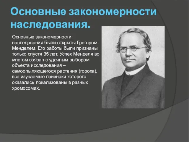 Основные закономерности наследования. Основные закономерности наследования были открыты Грегором Менделем. Его работы