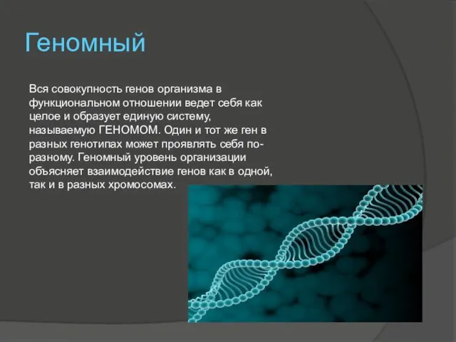 Геномный Вся совокупность генов организма в функциональном отношении ведет себя как целое