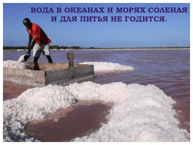 ВОДА В ОКЕАНАХ И МОРЯХ СОЛЕНАЯ И ДЛЯ ПИТЬЯ НЕ ГОДИТСЯ.