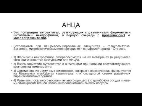 АНЦА Это популяция аутоантител, реагирующих с различными ферментами цитоплазмы нейтрофилов, в первую