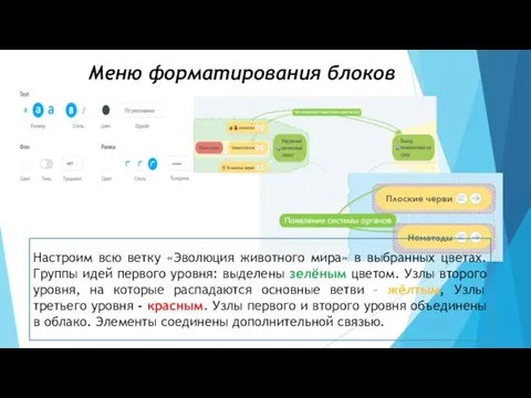 Меню форматирования блоков Настроим всю ветку «Эволюция животного мира» в выбранных цветах.