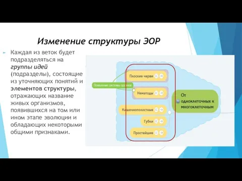 Изменение структуры ЭОР Каждая из веток будет подразделяться на группы идей (подразделы),