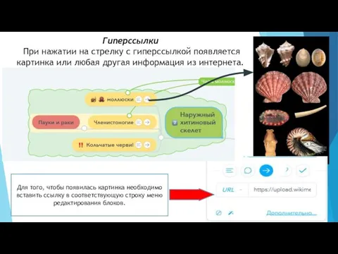 Гиперссылки При нажатии на стрелку с гиперссылкой появляется картинка или любая другая