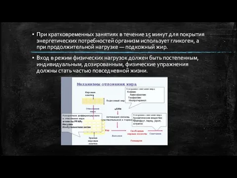 При кратковременных занятиях в течение 15 минут для покрытия энергетических потребностей организм