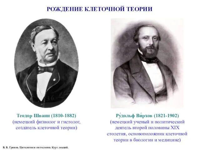 РОЖДЕНИЕ КЛЕТОЧНОЙ ТЕОРИИ Теодор Шванн (1810-1882) (немецкий физиолог и гистолог, создатель клеточной