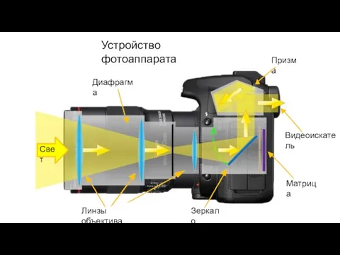 Устройство фотоаппарата Свет Диафрагма Линзы объектива Зеркало Матрица Видеоискатель Призма