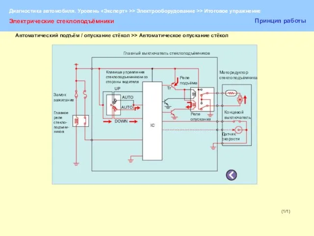 (1/1) Электрические стеклоподъёмники Принцип работы Главный выключатель стеклоподъёмников Замок зажигания Главное реле