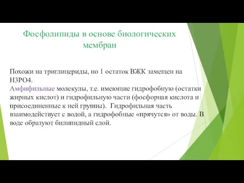 Фосфолипиды в основе биологических мембран Похожи на триглицериды, но 1 остаток ВЖК