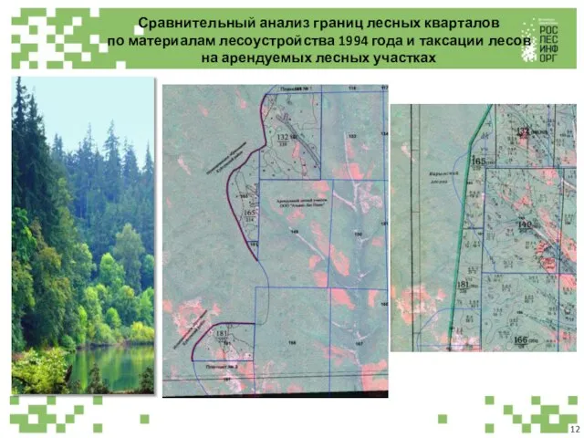 Сравнительный анализ границ лесных кварталов по материалам лесоустройства 1994 года и таксации