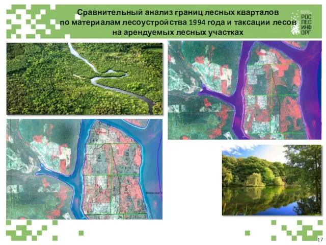 Сравнительный анализ границ лесных кварталов по материалам лесоустройства 1994 года и таксации