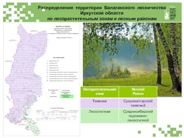 3 Распределение территории Балаганского лесничества Иркутской области по лесорастительным зонам и лесным районам