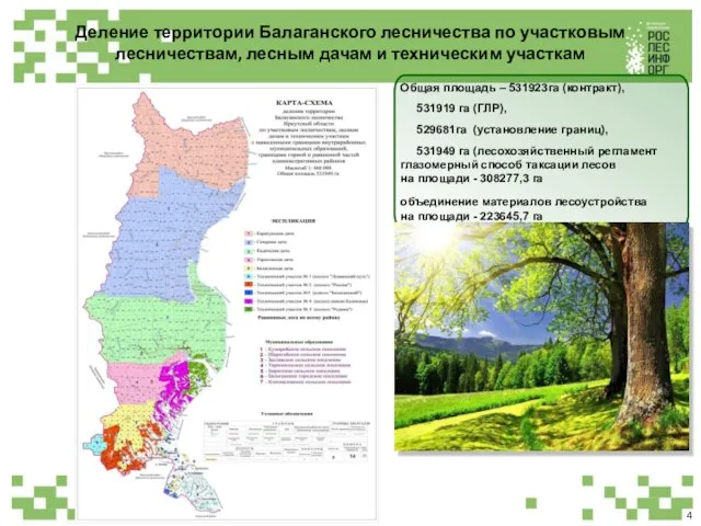 Деление территории Балаганского лесничества по участковым лесничествам, лесным дачам и техническим участкам