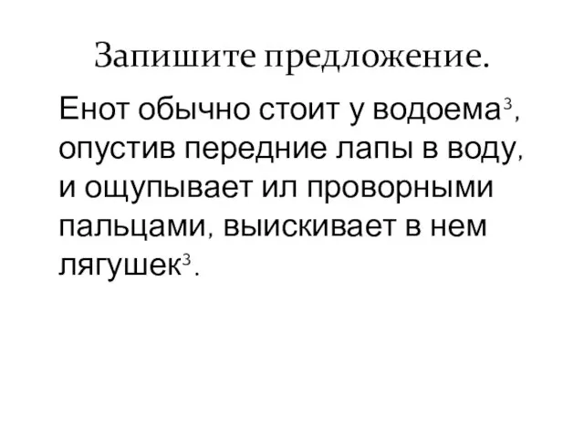 Запишите предложение. Енот обычно стоит у водоема³, опустив передние лапы в воду,