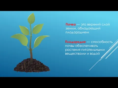 Почва — это верхний слой земли, обладающий плодородием Плодородие — способность почвы