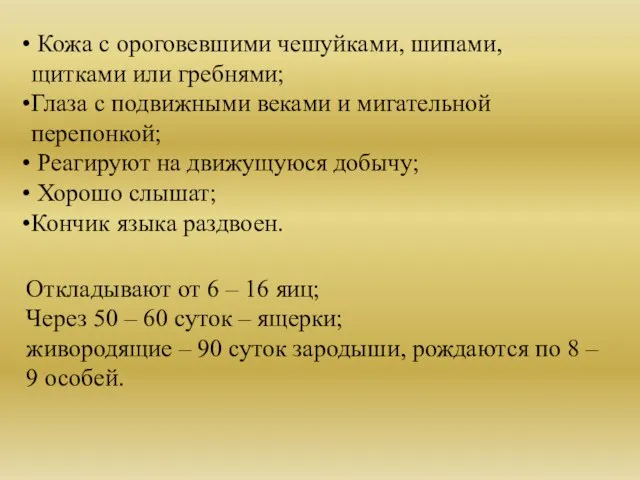 Кожа с ороговевшими чешуйками, шипами, щитками или гребнями; Глаза с подвижными веками