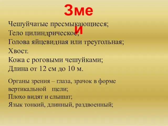 Змеи Чешуйчатые пресмыкающиеся; Тело цилиндрическое; Голова яйцевидная или треугольная; Хвост. Кожа с