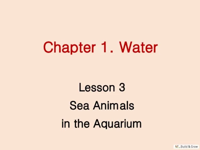 Chapter 1. Water Lesson 3 Sea Animals in the Aquarium