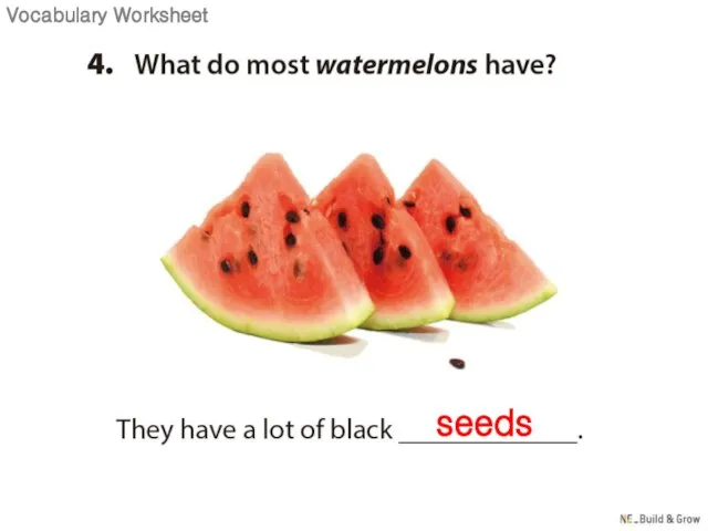 seeds Vocabulary Worksheet