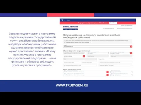 Заявление для участия в программе подается в рамках государственной услуги содействия работодателям