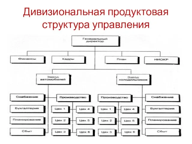 Дивизиональная продуктовая структура управления