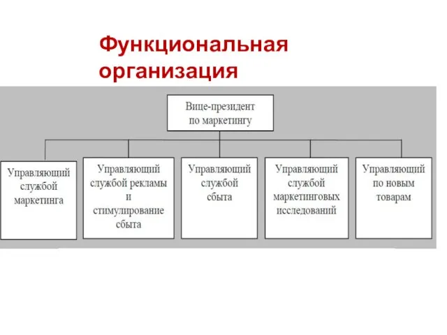 Функциональная организация