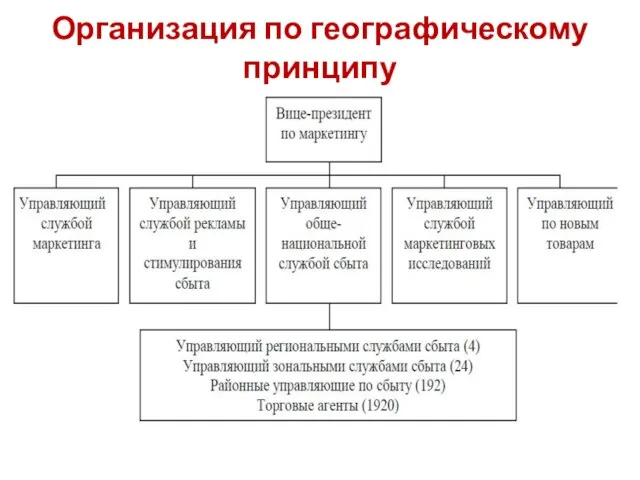 Организация по географическому принципу