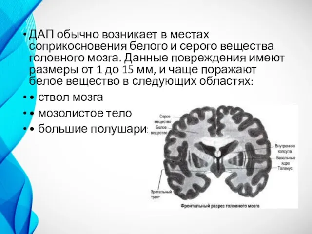 ДАП обычно возникает в местах соприкосновения белого и серого вещества головного мозга.