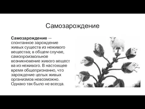 Самозарождение Самозарождение — спонтанное зарождение живых существ из неживого вещества; в общем