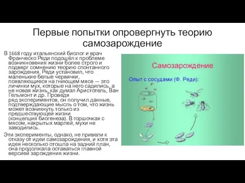 Первые попытки опровергнуть теорию самозарождение В 1668 году итальянский биолог и врач