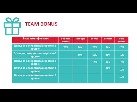 TEAM BONUS